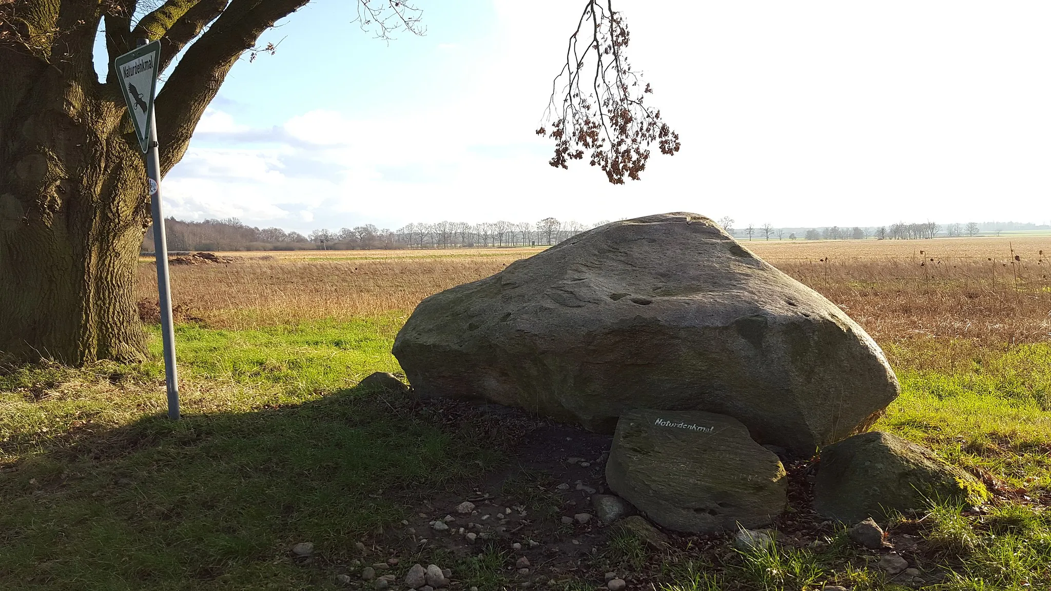 Photo showing: Protected glacial erratic "Schrölingsstein" north of Grafhorn (Lehrte, Region Hannover, Lower Saxony).