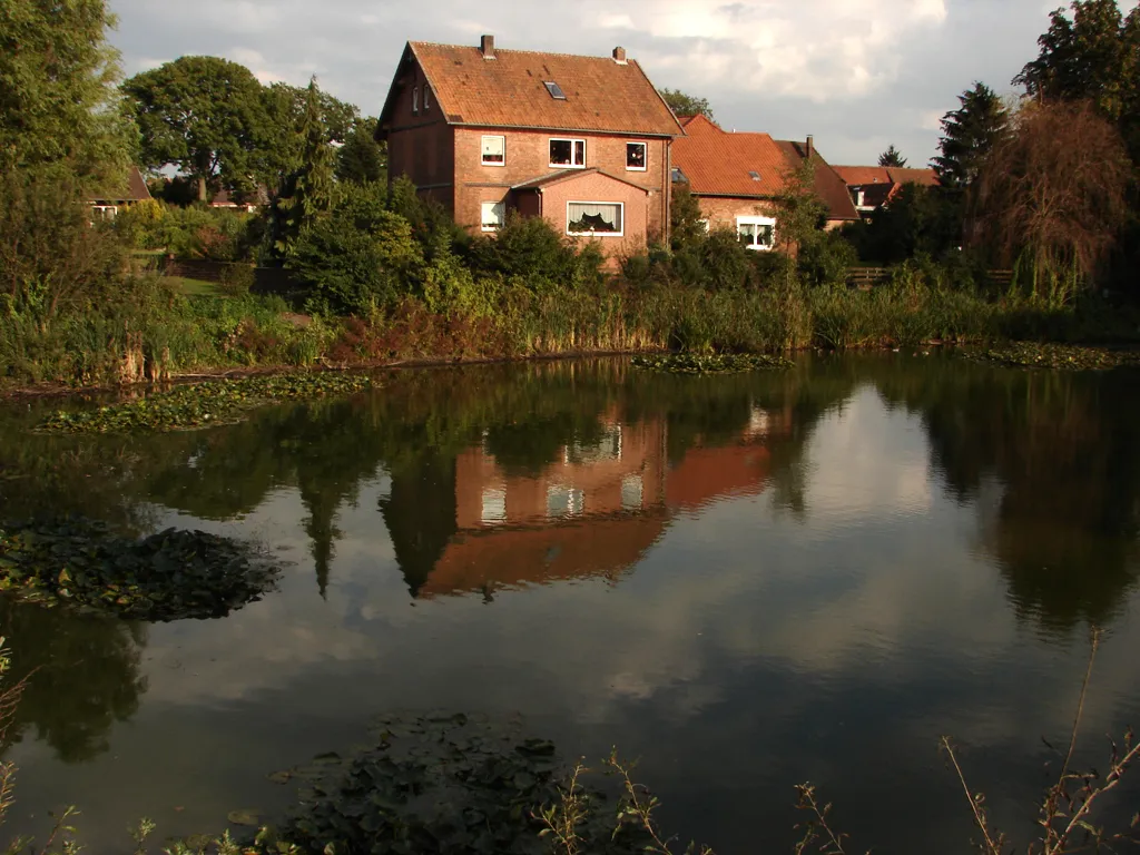 Photo showing: Blick über den Arpker Dorfteich