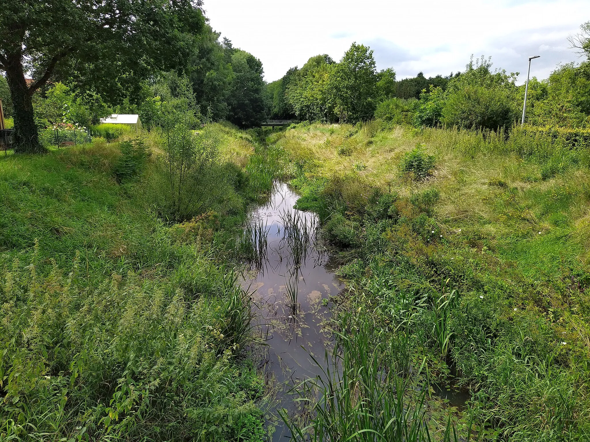 Photo showing: Bückener Mühlenbach am Friedhofsweg