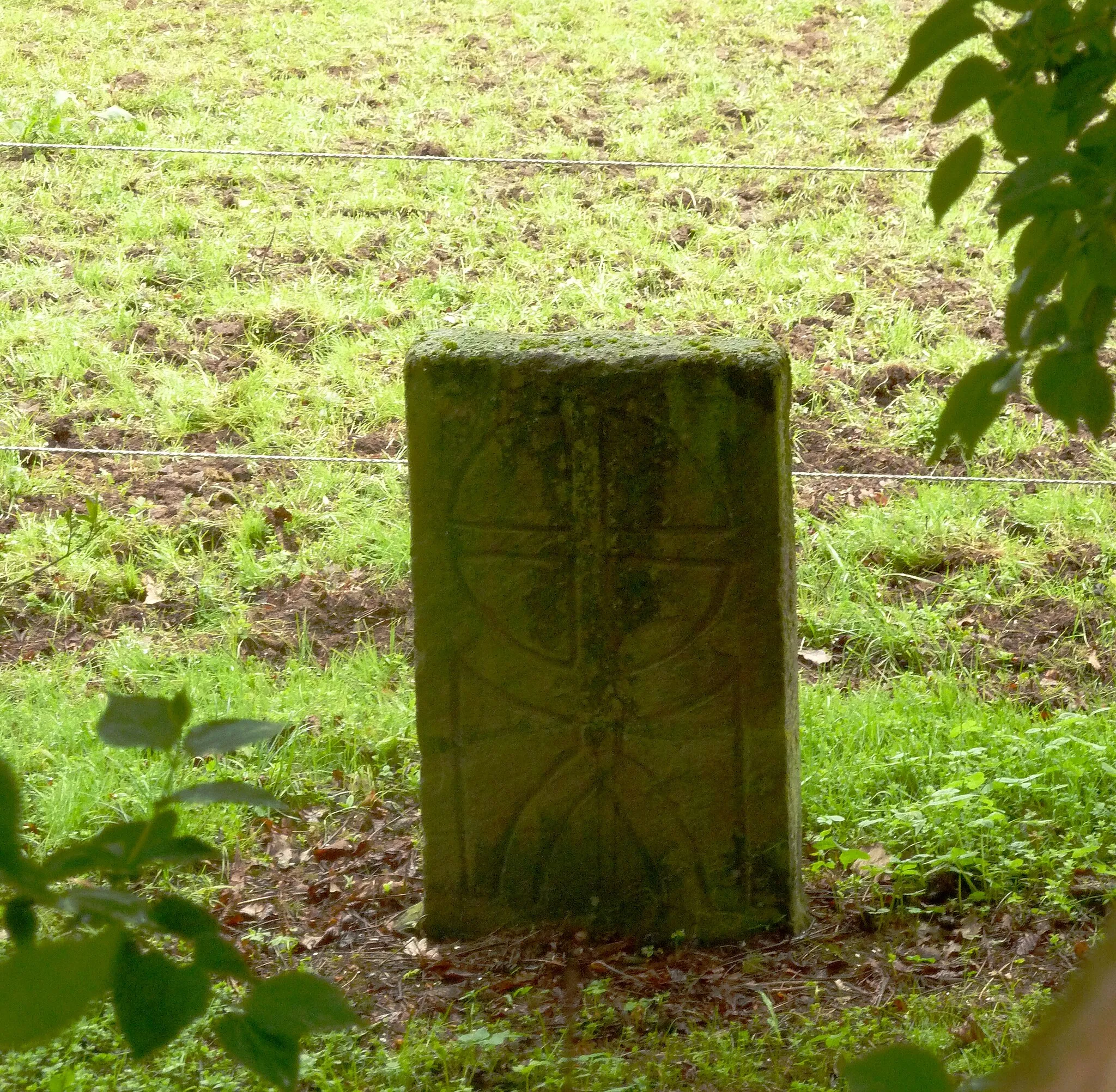 Photo showing: Kreuzstein in Deensen, Landkreis Holzminden, Niedersachsen. Heute im Park des Rittergutes Deensen (vom Weg aus durch den Bewuchs fotografiert), ursprünglich in der Arholzer Feldflur.