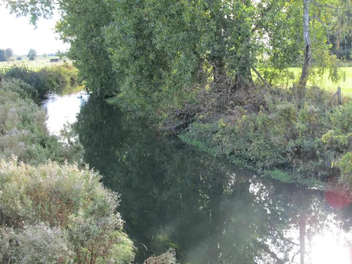 Photo showing: River Fuhse in Uetze-Dollbergen