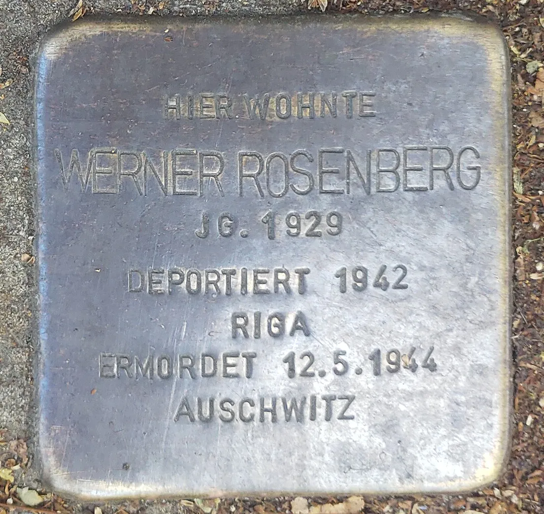 Photo showing: Stolperstein Werner Rosenberg (Lamspringe)