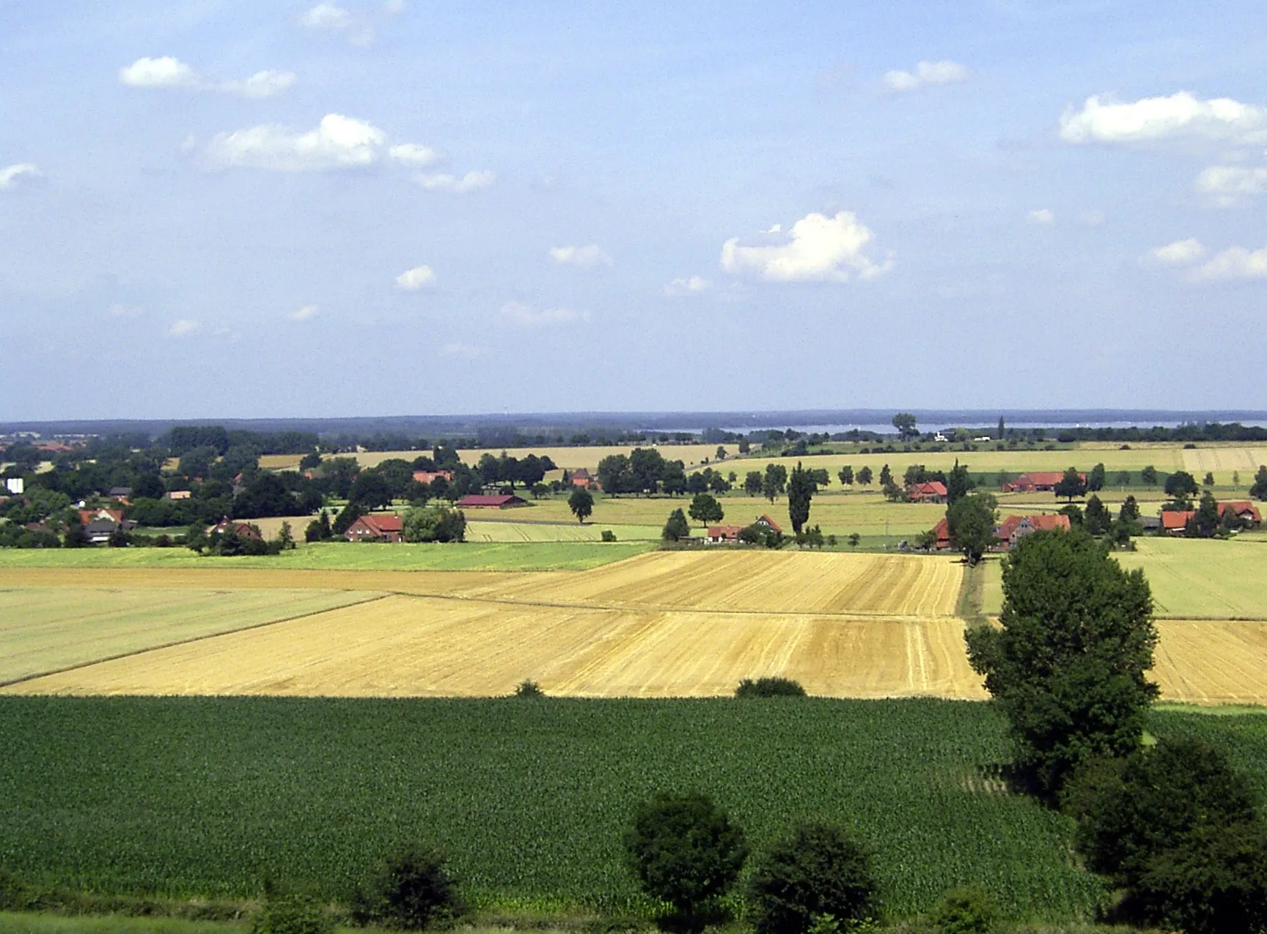 Photo showing: Schmalenbruch am Steinhuder Meer, Gemeinde Wölpinghausen im Landkreis Schaumburg, Niedersachsen