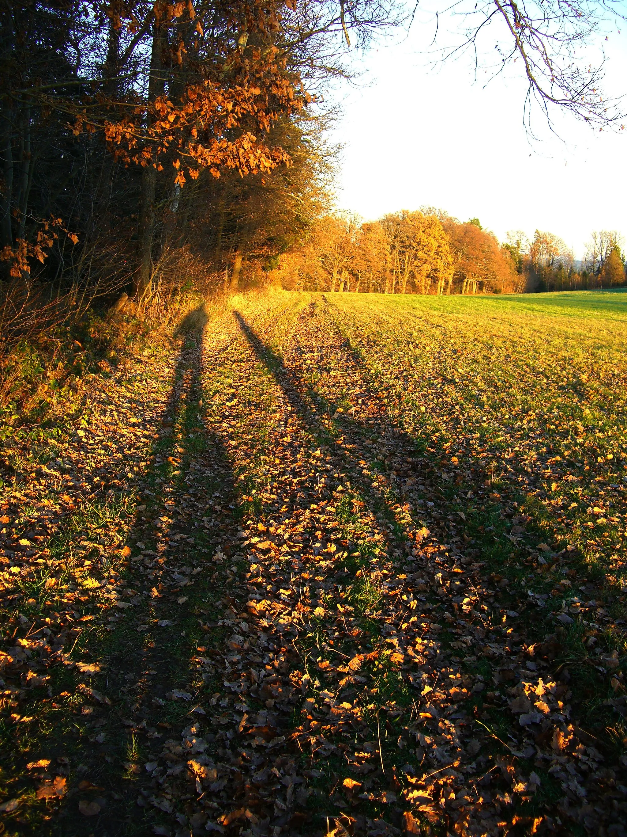 Image of Karlsruhe