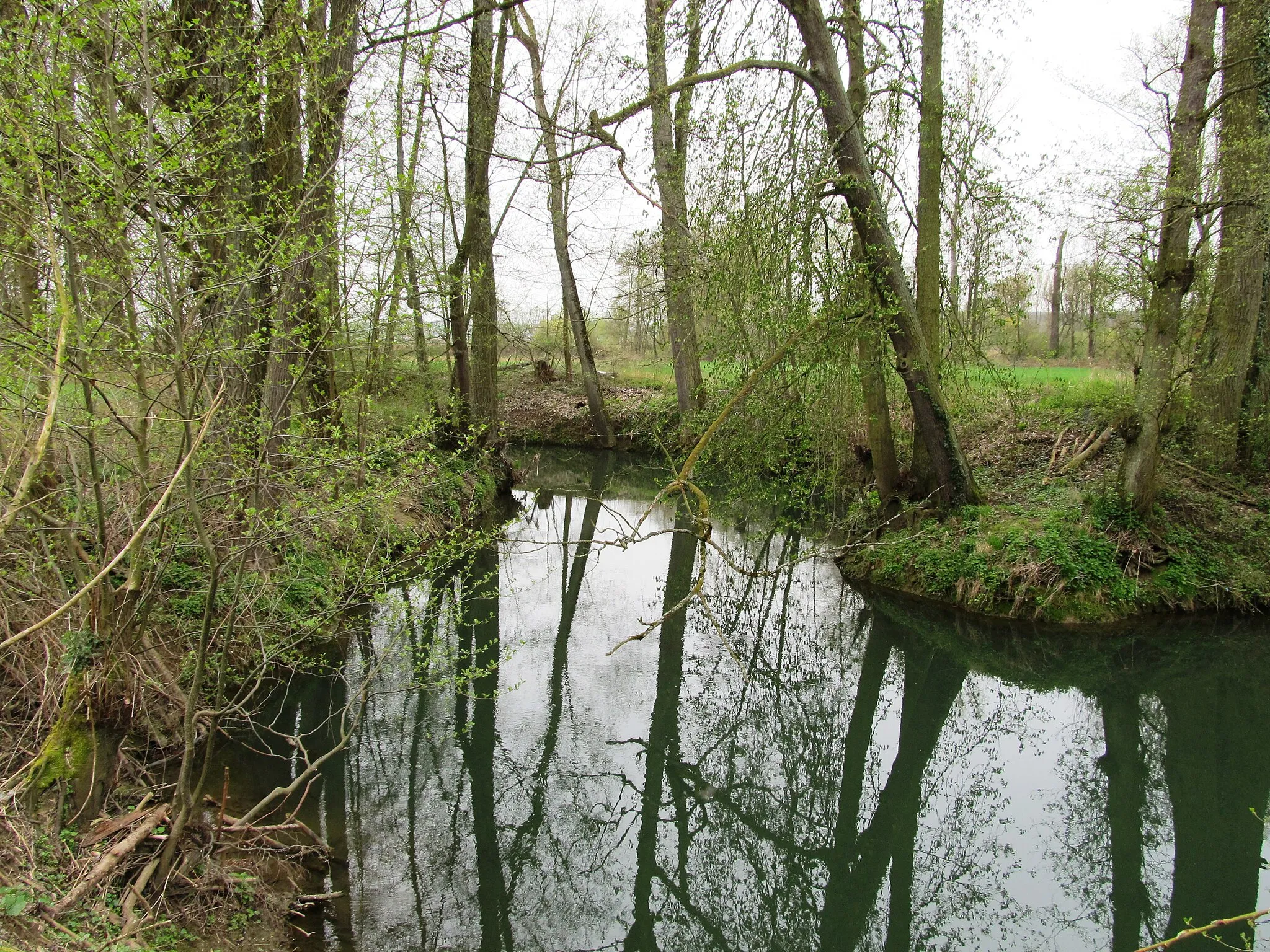 Photo showing: Schwarzbachaue bei Meckesheim