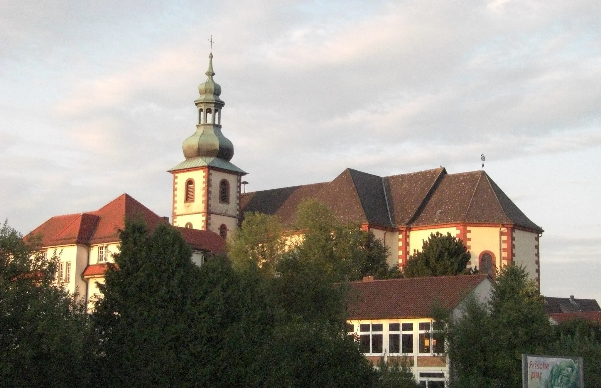 Photo showing: St. Goar church in Flieden