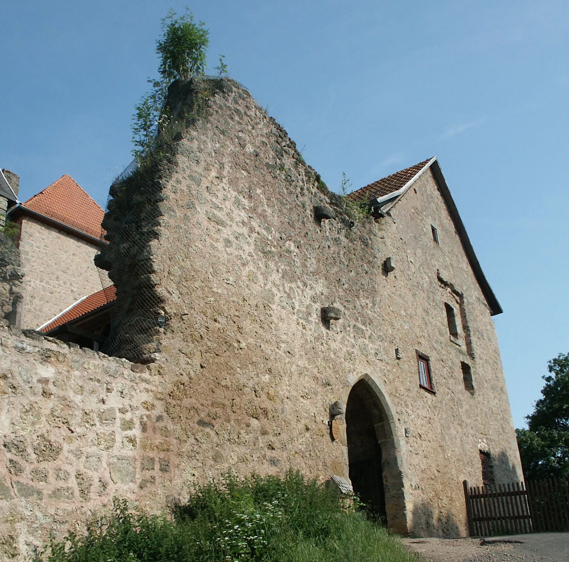 Photo showing: Westansicht der Burg Tannenberg
