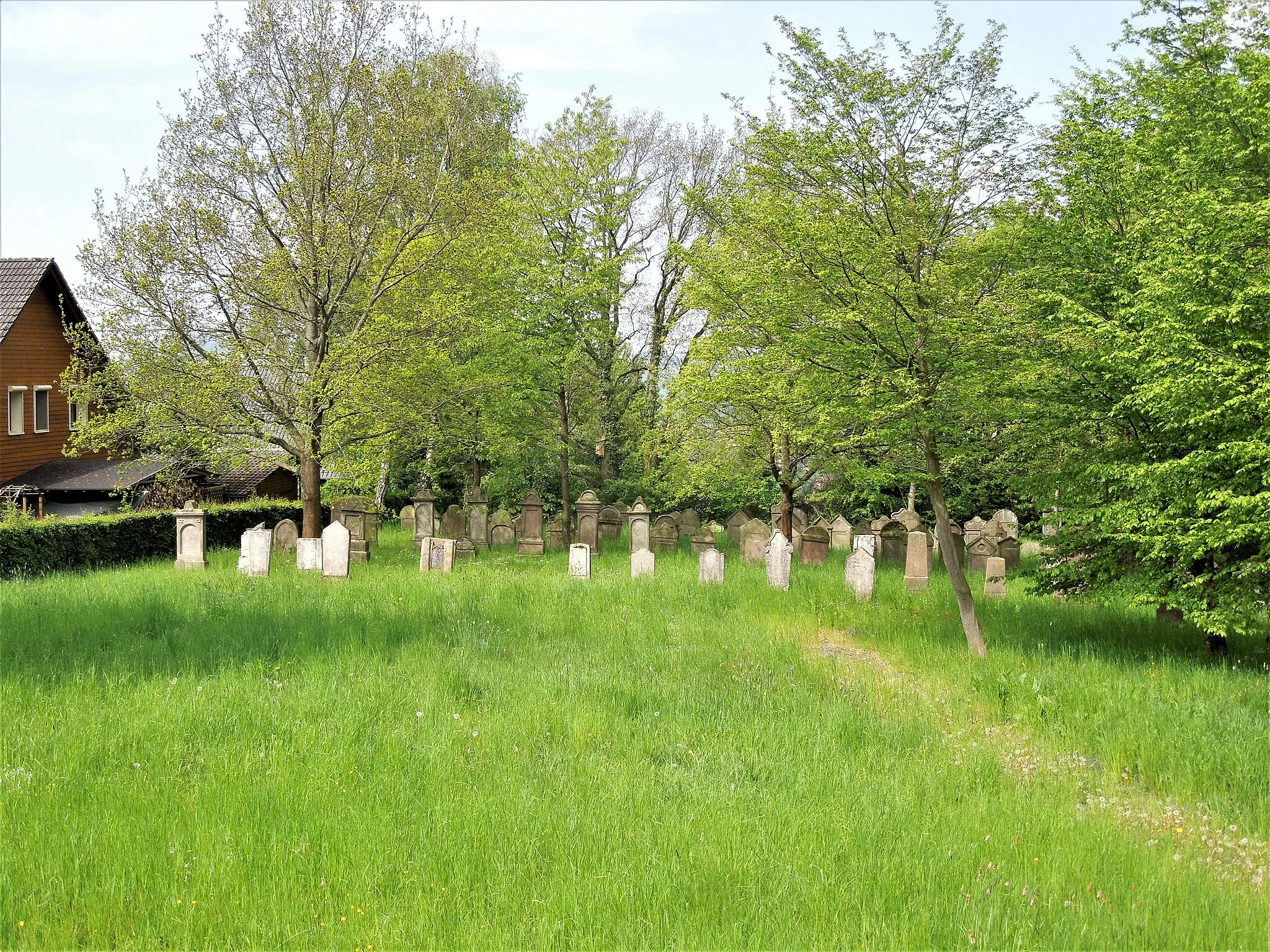 Photo showing: Niedenstein: der jüdische Friedhof an der Friedensstraße, 1832 angelegt