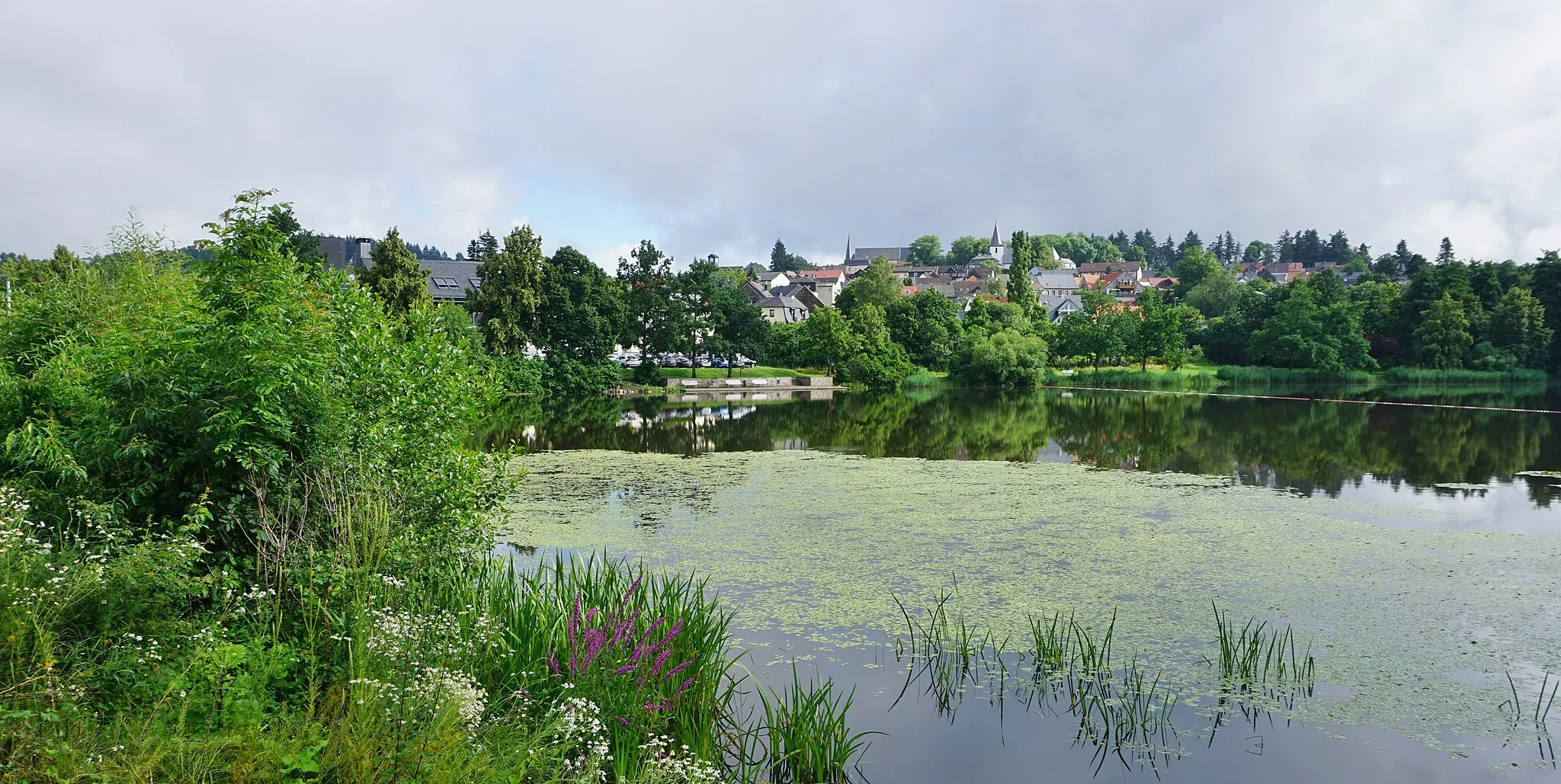 Photo showing: View over the pond to the old town of Baumholder.