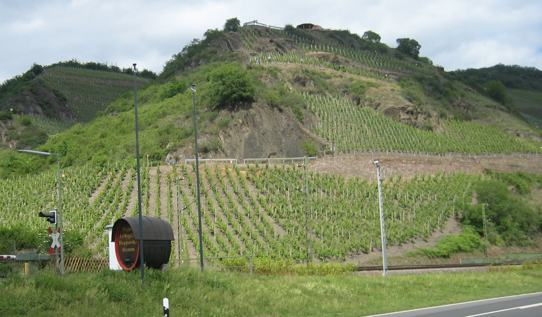 Photo showing: vineyard Bopparder Hamm near Boppard, seen from the Bundesstraße 9.