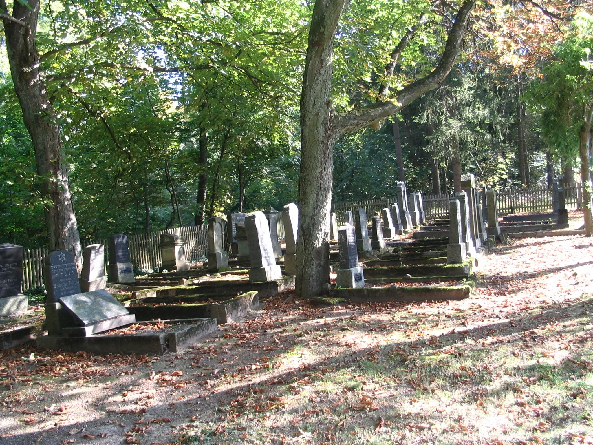 Photo showing: Jüdischer Friedhof in Kastellaun, Hunsrück
