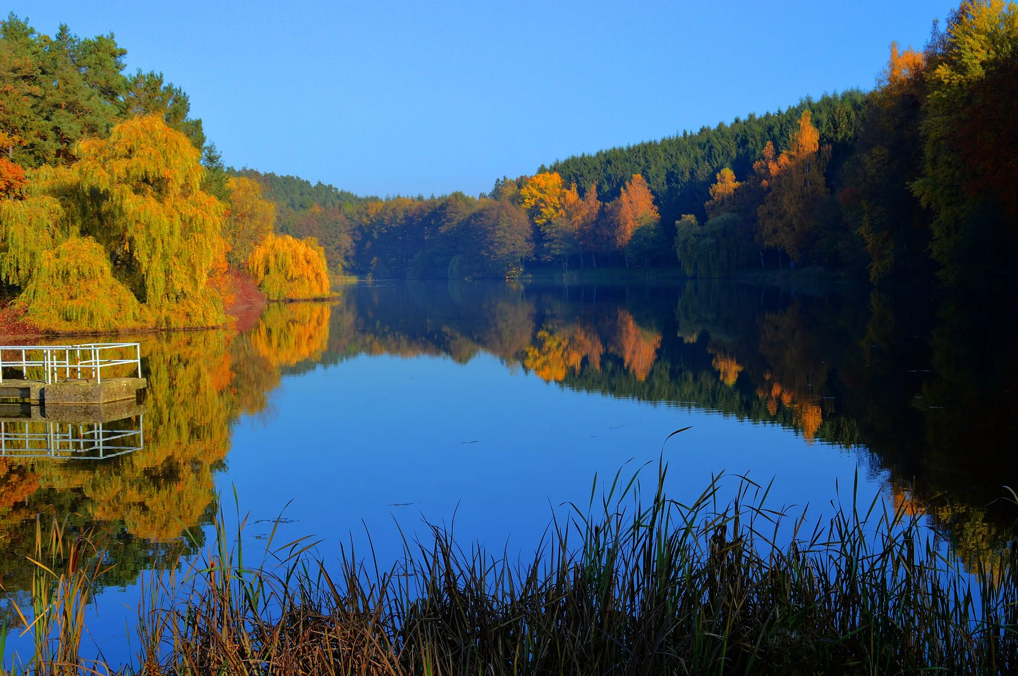 Photo showing: Der Hauserbacher See Bei Miehlen (Herbst 2015)