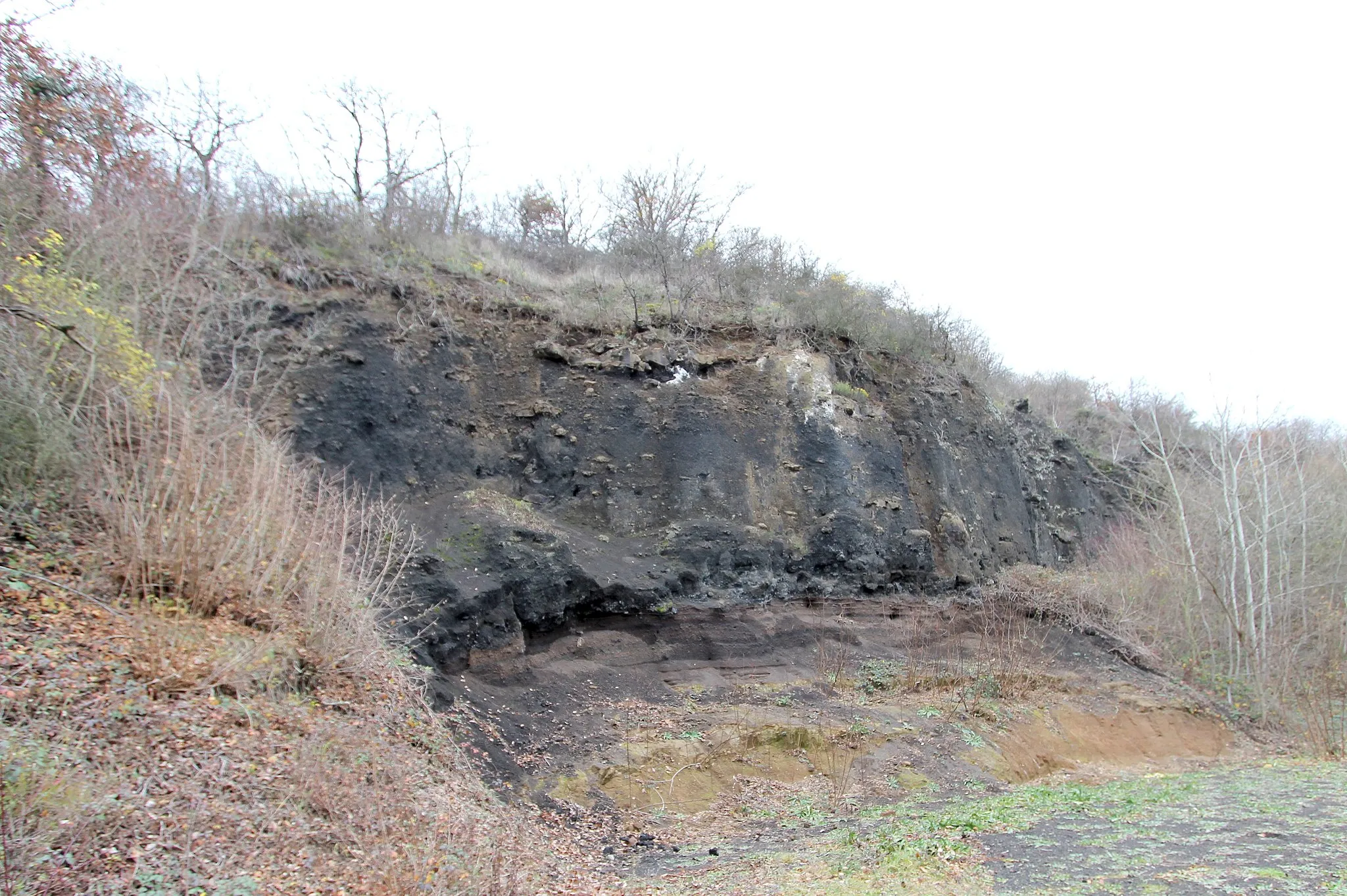 Photo showing: 56651 Niederzissen, Kraterstraße. Bis heute ist der Bausenberg der am besten erhaltene Hufeisenkrater der Eifel! Am Krater und an seinem Wall besteht eine große Vielfalt unterschiedlicher Biotoptypen. So bietet der Niederzissener Hausberg weit über 500 Pflanzenarten und einer Tierwelt mit mehr als 5.000 verschiedenen Arten ein Zuhause, welches unter Naturschutz steht. Aufnahme von 2017. www.deutsche-vulkanstrasse.com