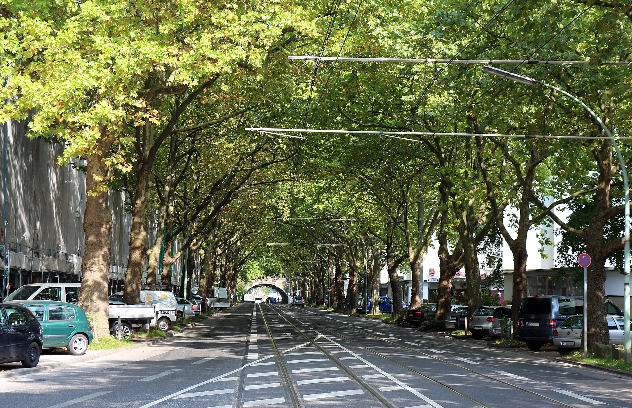 Photo showing: Allee, Heidelberger Straße