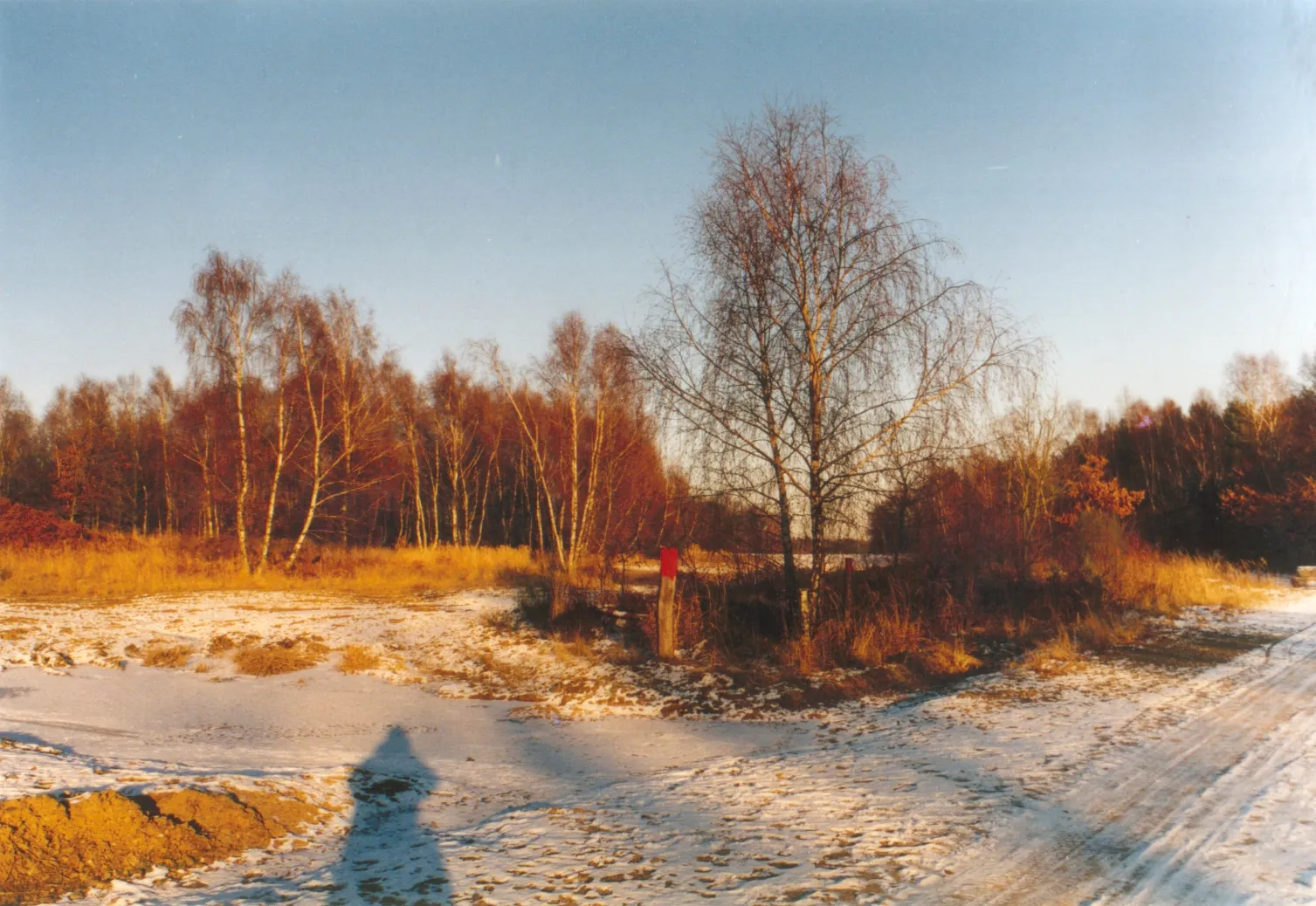 Photo showing: Typische Landschaft in der Wahner Heide im Winter