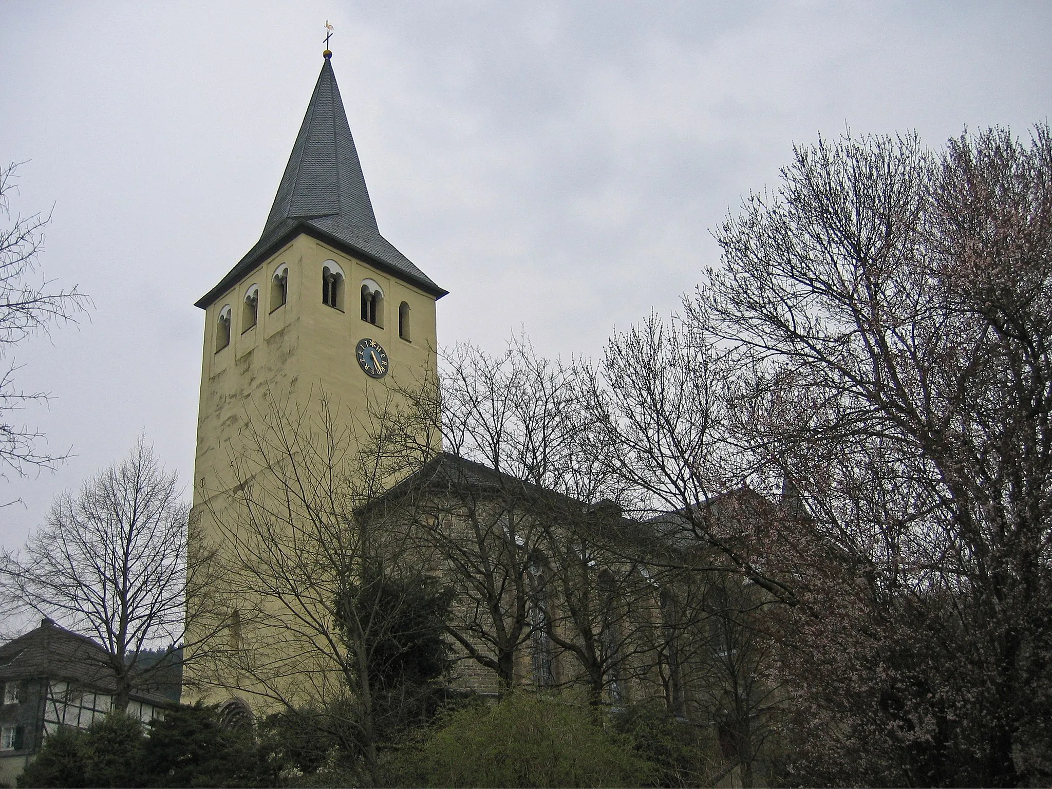 Bild von Colonia