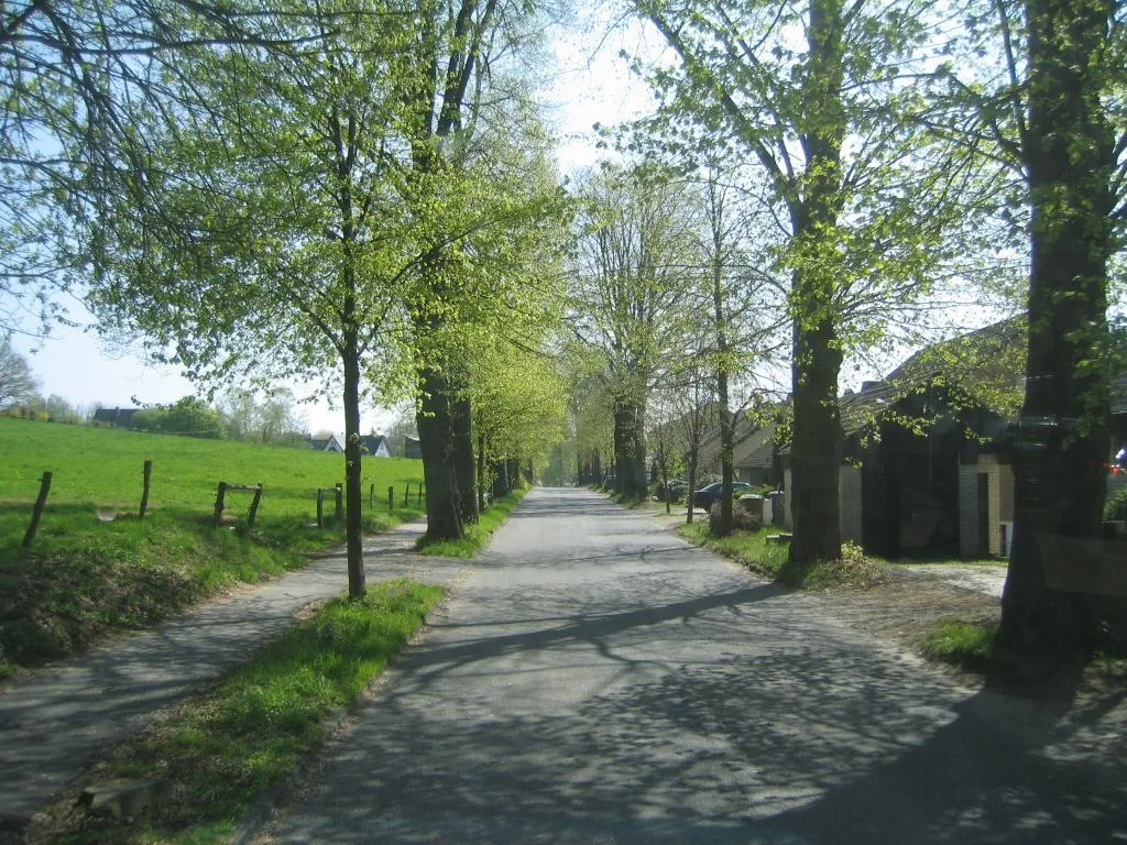 Photo showing: Lindlar-Altenlinde, Allee April 2005