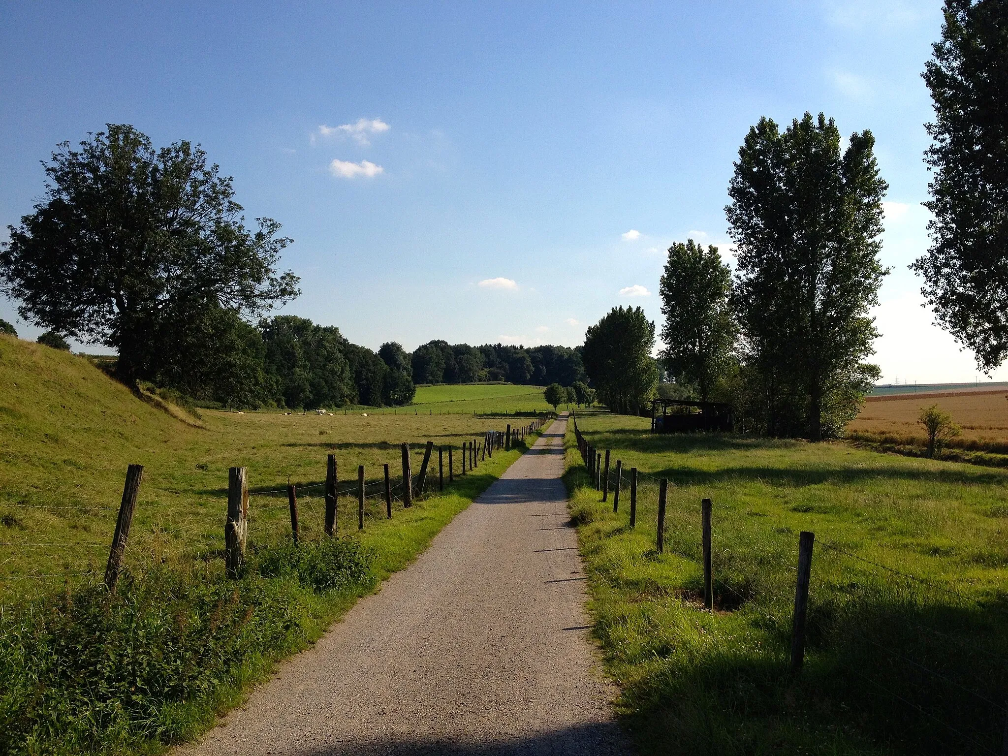Photo showing: Fuß- bzw. Radweg von Linnich nach Welz