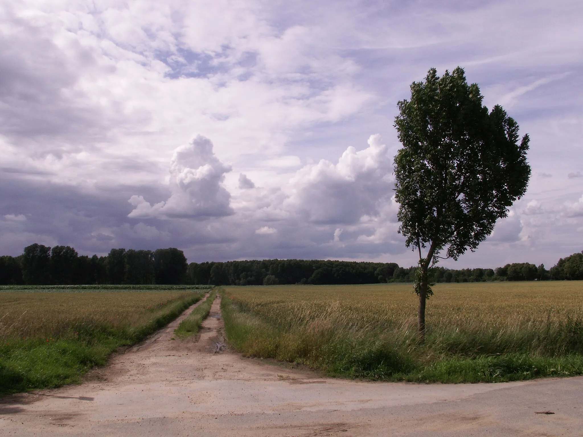 Photo showing: Landschafts-Motive aus dem Heinsberger Land.