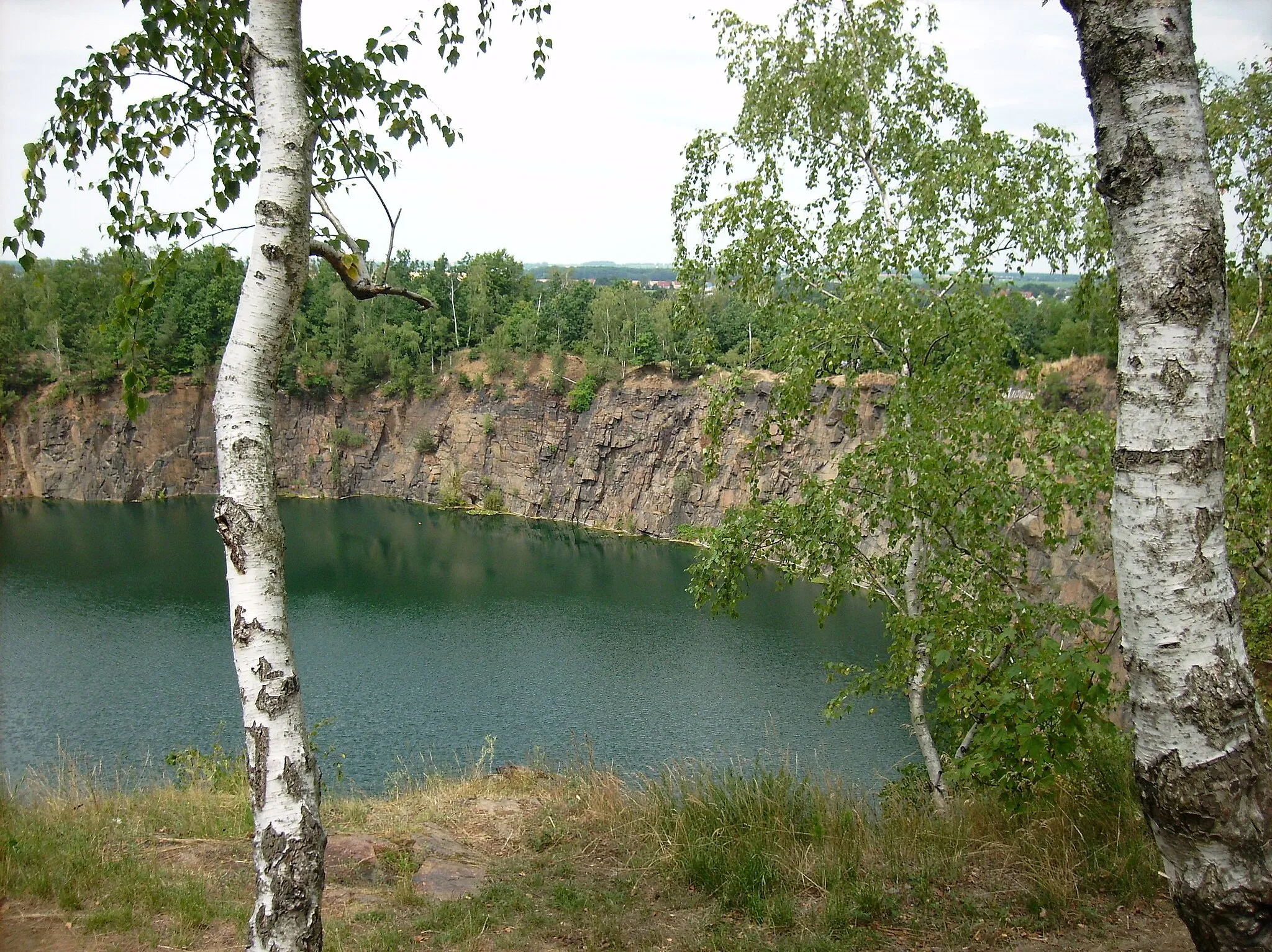 Photo showing: Former western quarry at the Kohlenberg hill near Brandis (Leipzig district, Saxony)