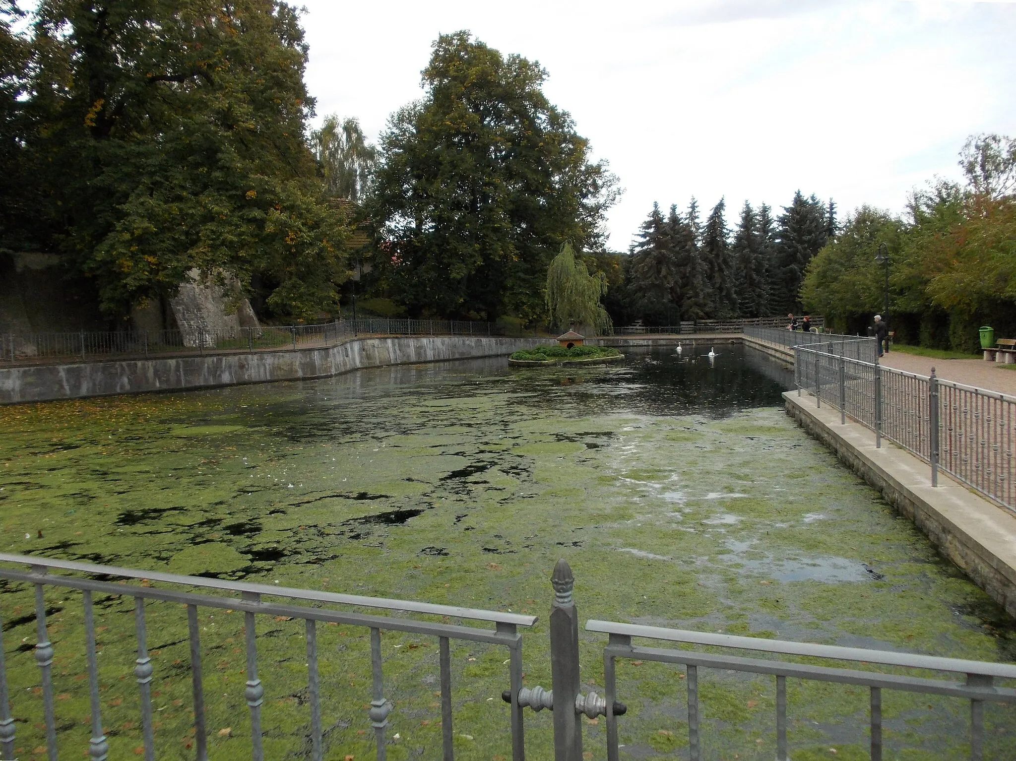 Photo showing: Swan Pond in Dahlen (Nordsachsen district, Saxony)