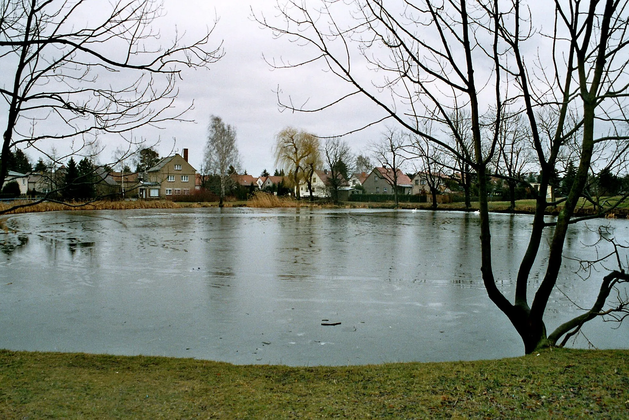 Photo showing: View over the pond "Brauteich"