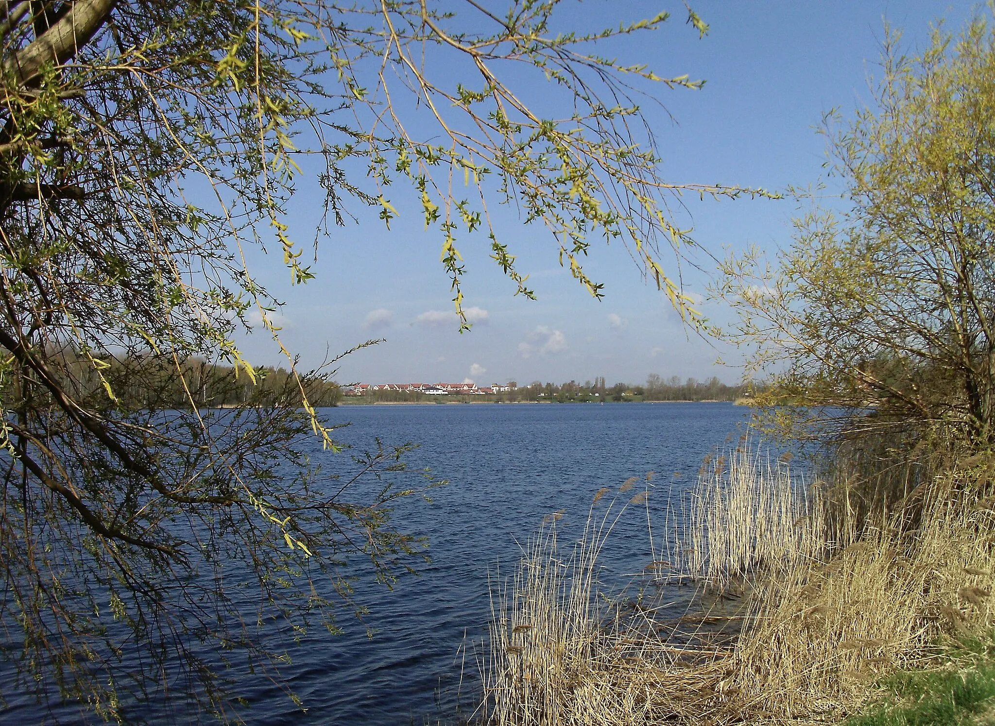 Photo showing: View over Kulkwitz Lake from Lausen (Leipzig) to Markranstädt (Leipzig district, Saxony)