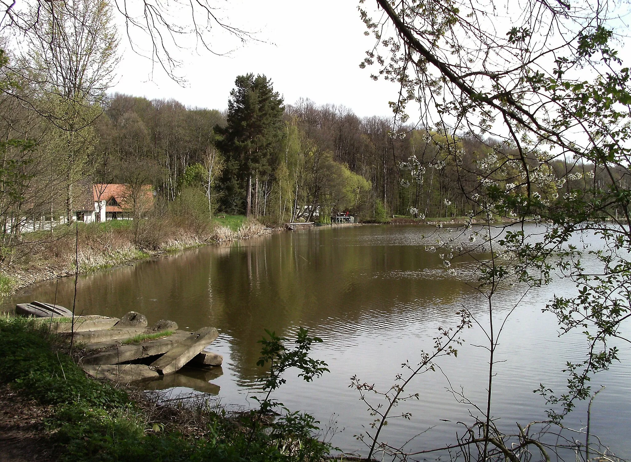 Photo showing: Hegeteich, a pond near Narsdorf (Leipzig district, Saxony)