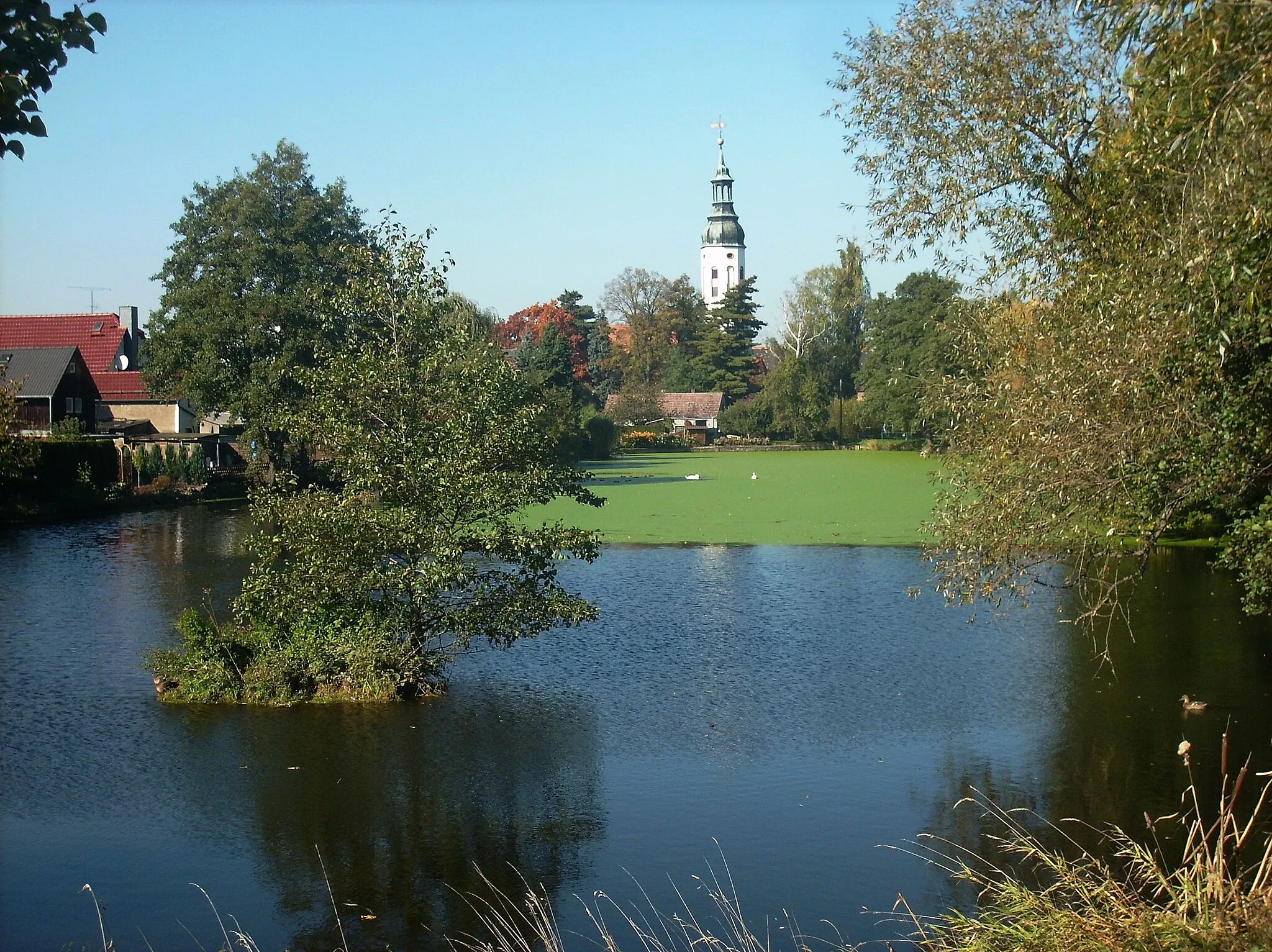 Photo showing: Pond in Otterwisch (Leipzig district, Saxony)