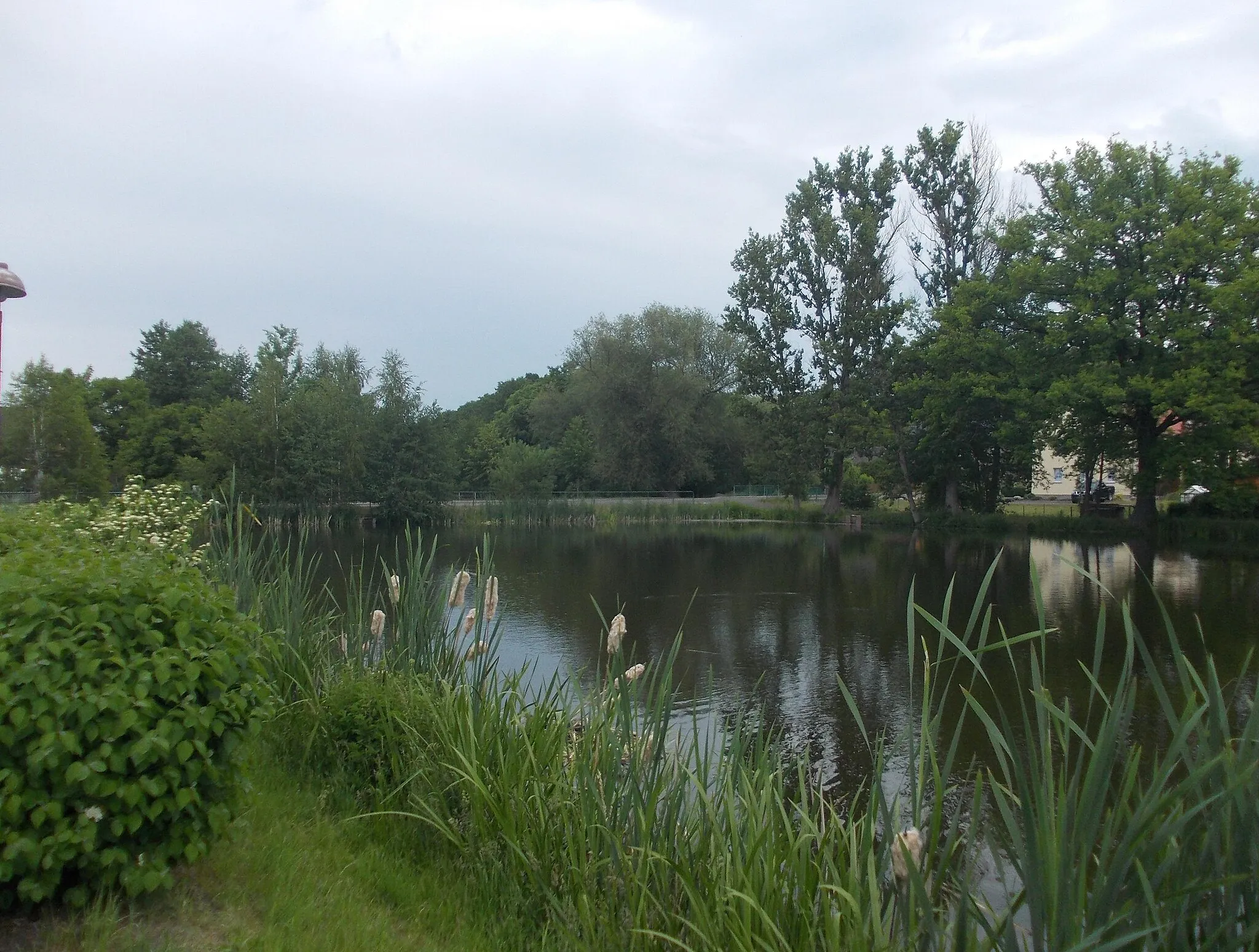Photo showing: Upper Pond in Otterwisch (Leipzig district, Saxony)