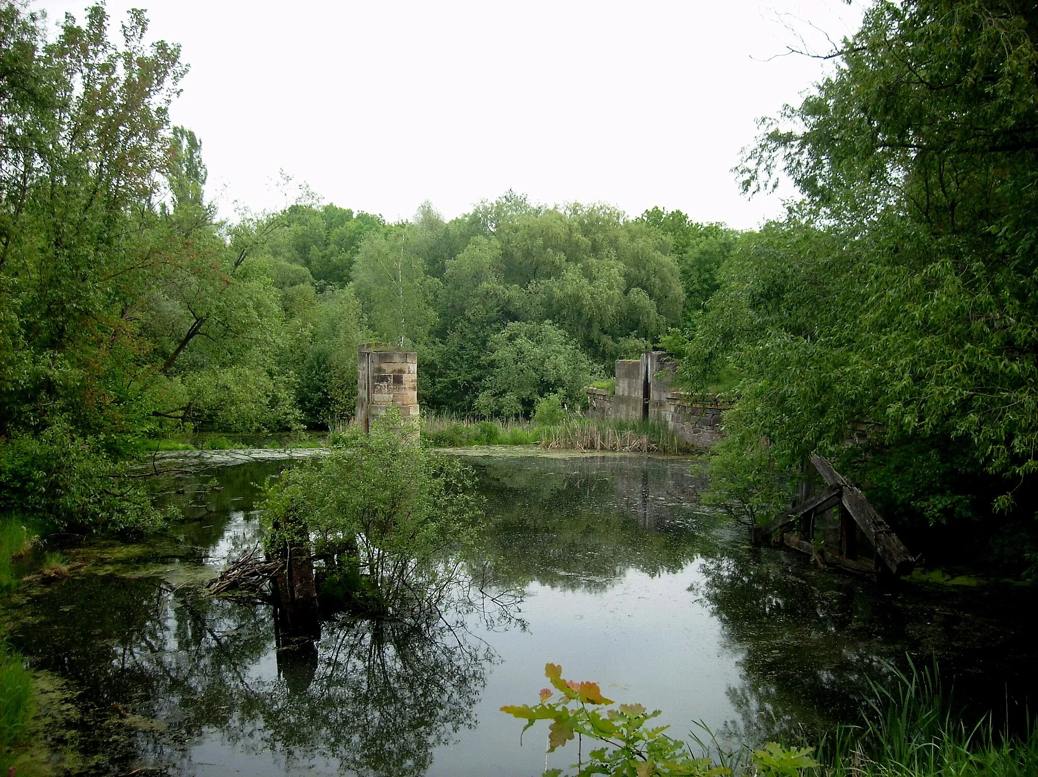 Photo showing: Alte Elster, former bed of the Weisse Elster river near Zwenkau (Leipzig district, Saxony)