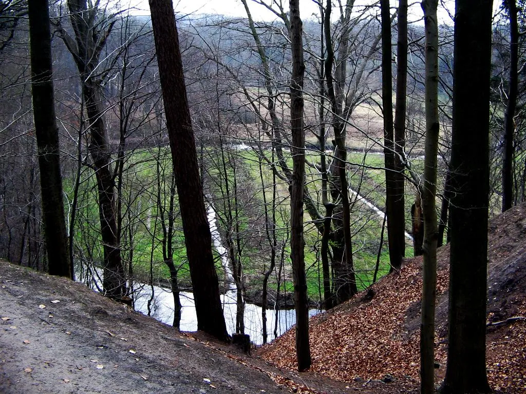 Photo showing: Boehme valley near Bad Fallingbostel, southwestern Lueneburg Heath