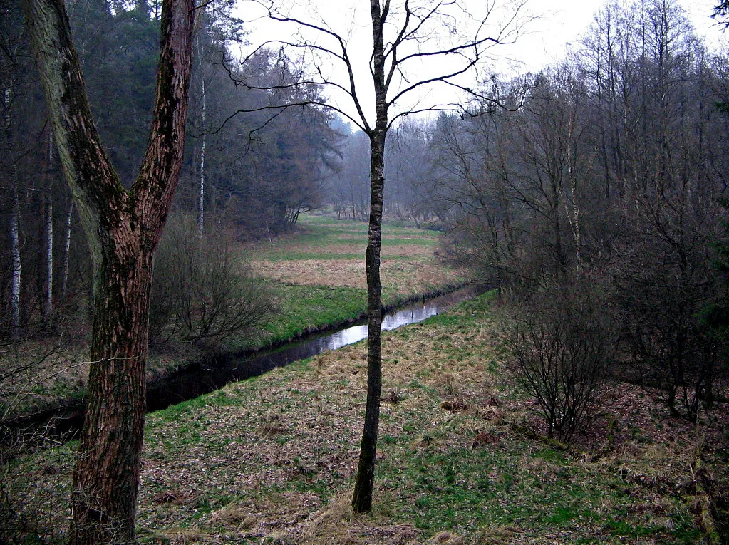 Photo showing: Bomlitz valley south of Bomlitz (Lueneburg Heath, Lower Saxony)