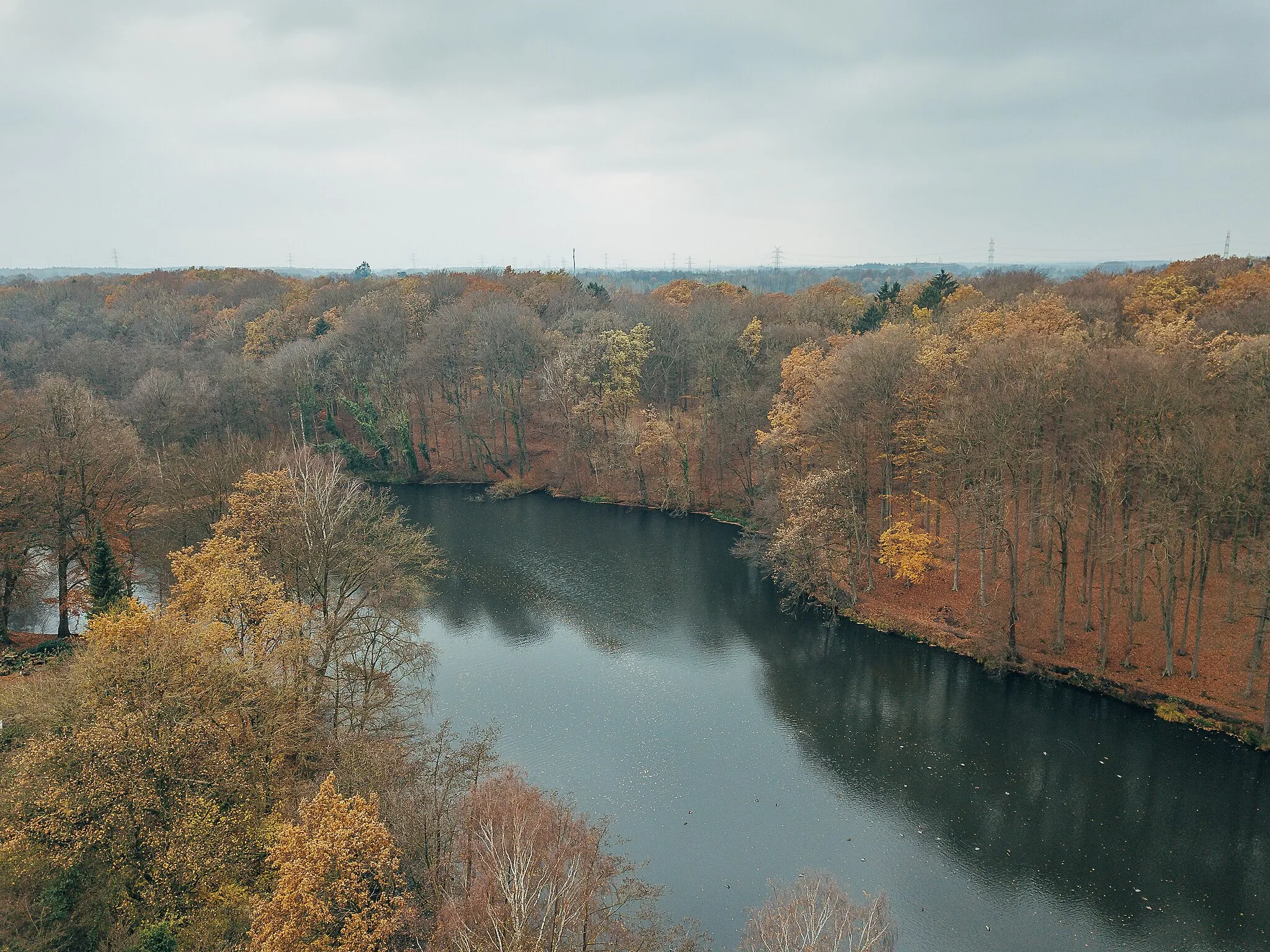 Photo showing: Buschteiche in Dollern