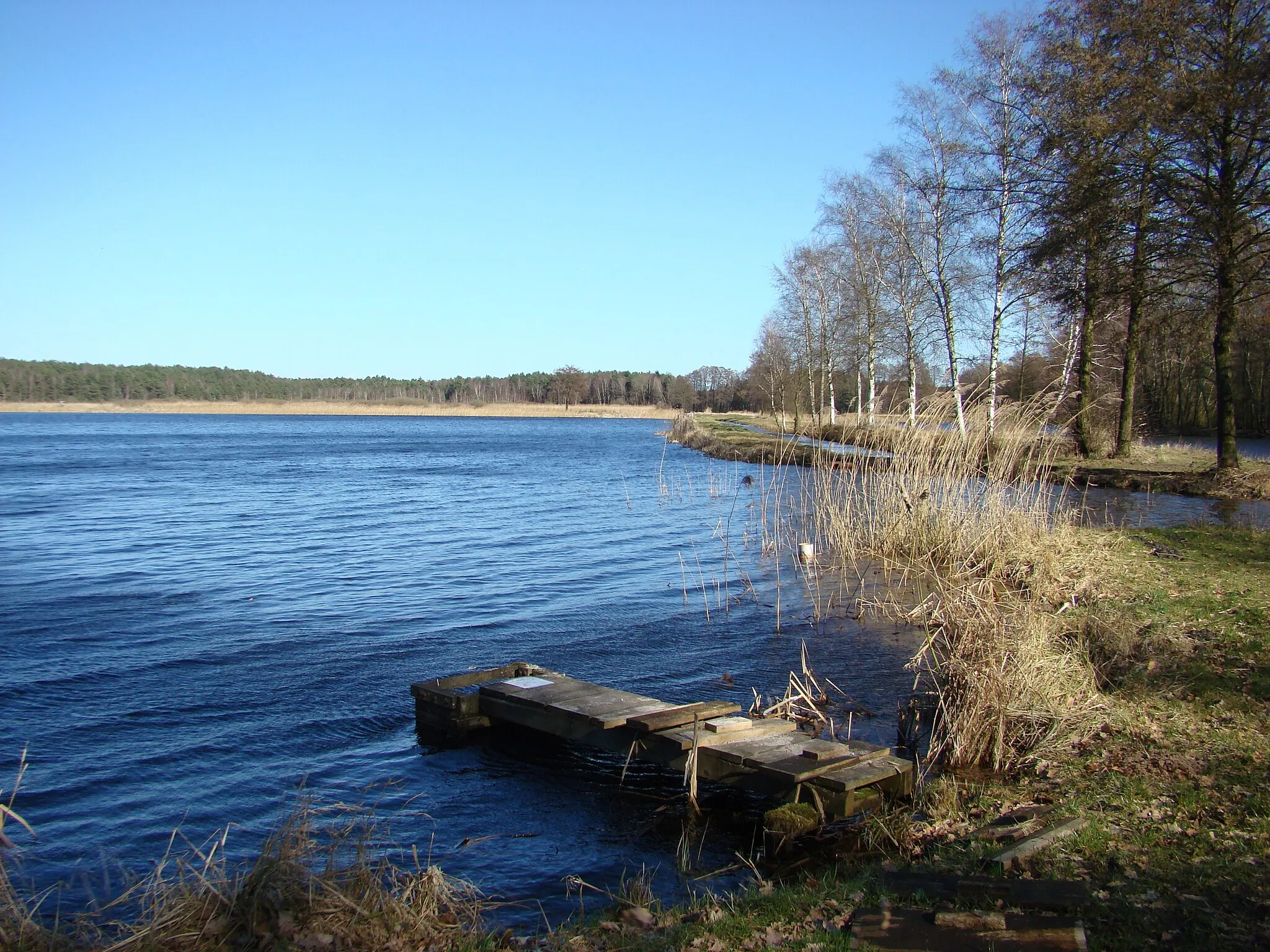 Bild von Lüneburg