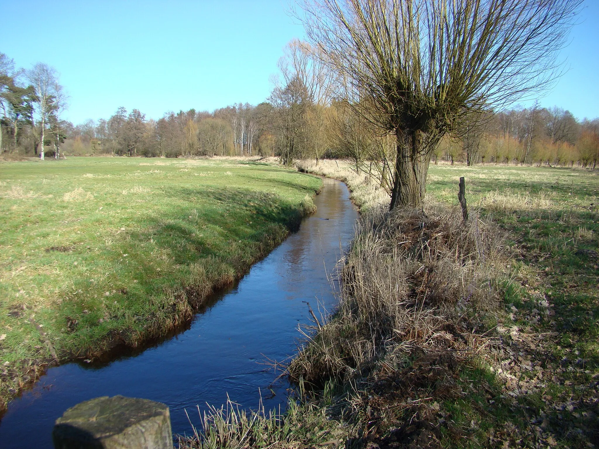 Bild von Lüneburg