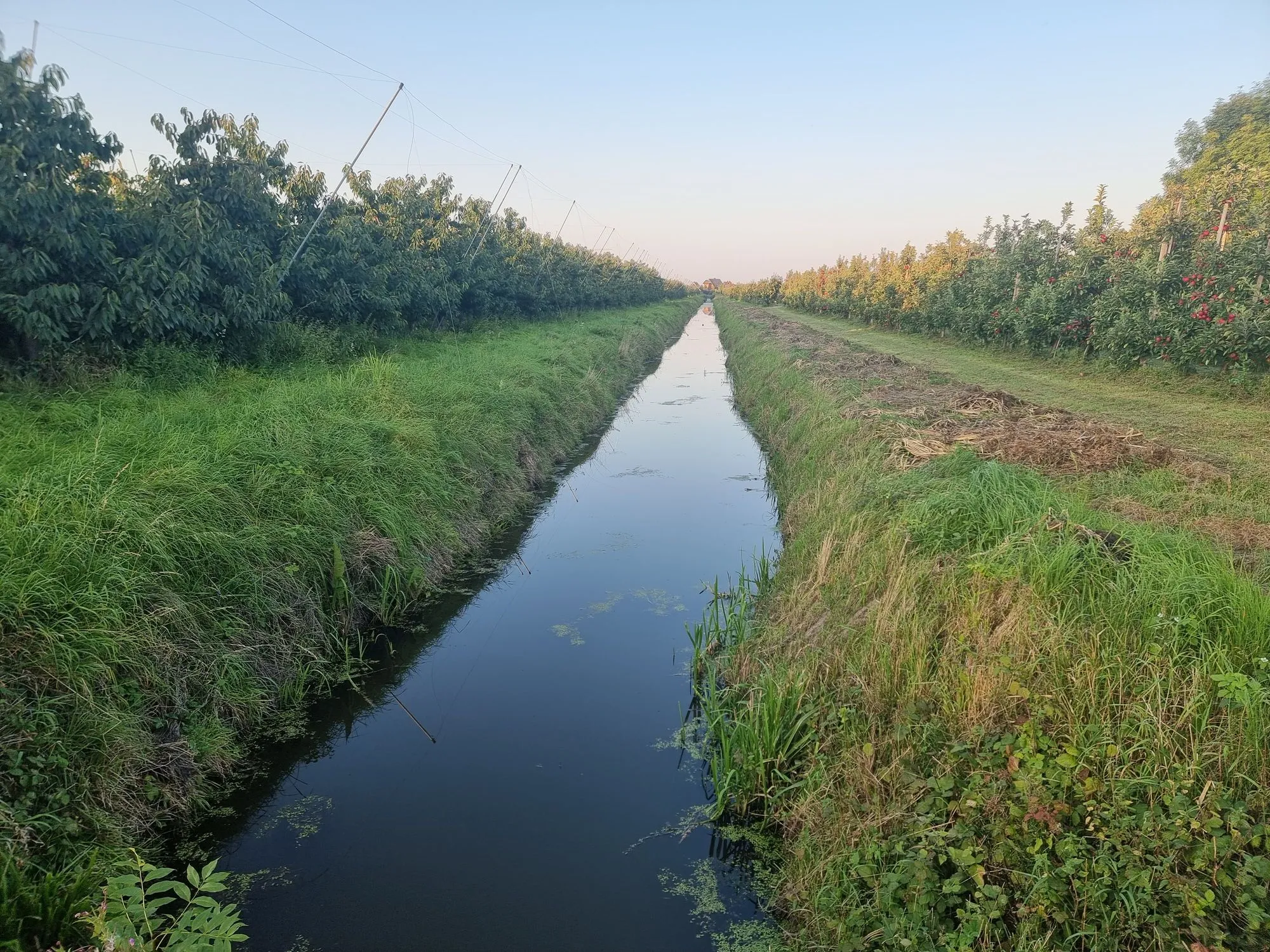 Photo showing: Grünendeicher Hauptwettern