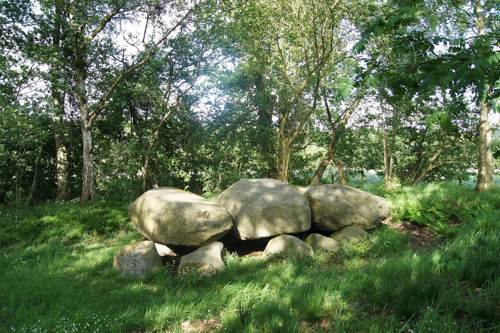 Photo showing: Hammah (Sterneberg), Germany: Dolmen