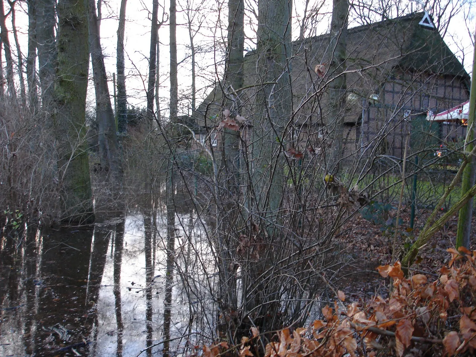 Image of Lüneburg