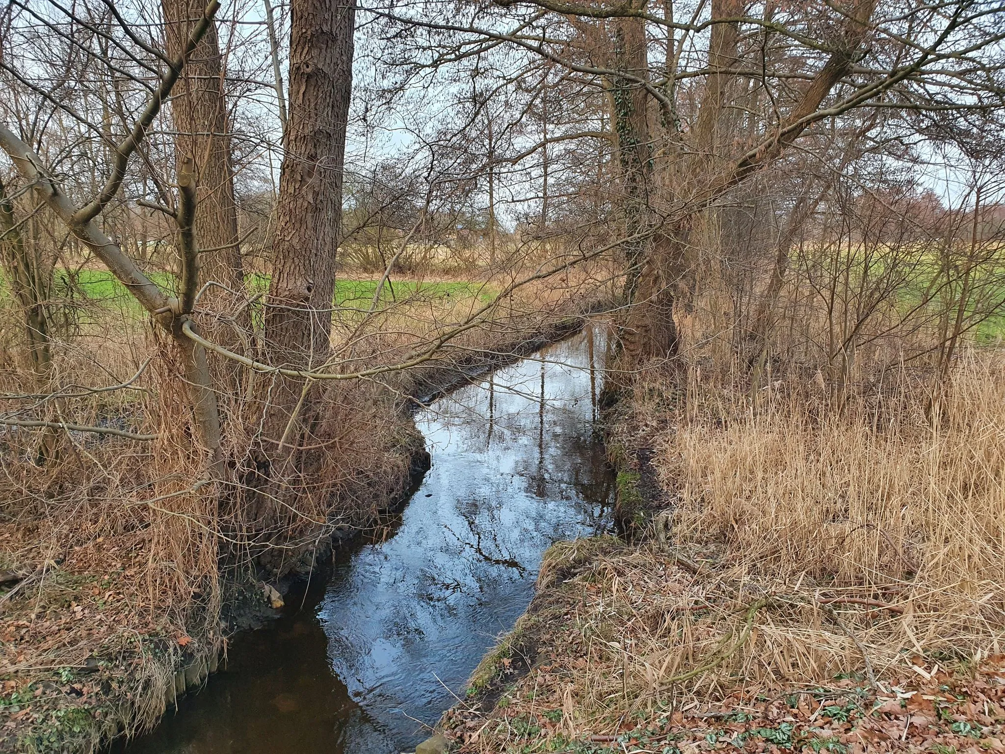 Bild von Lüneburg