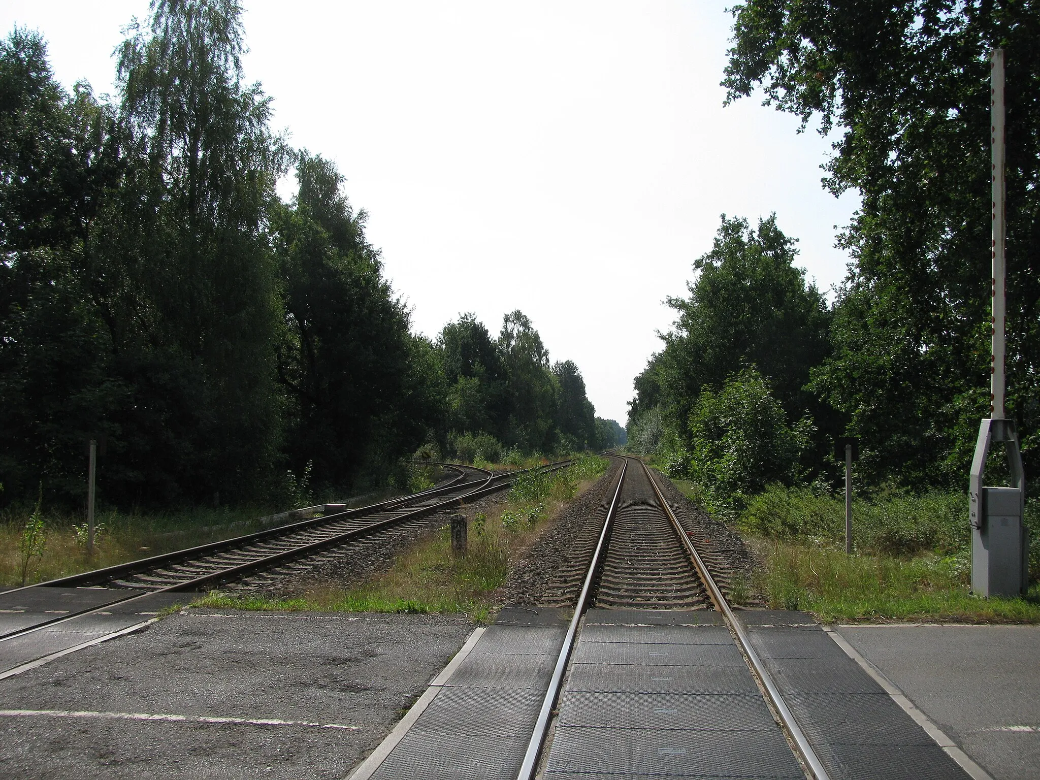 Photo showing: Blick vom Bahnübergang beim Bahnhof Hodenhagen nach Süden, links zweigt ein Industrieanschlussgleis ab