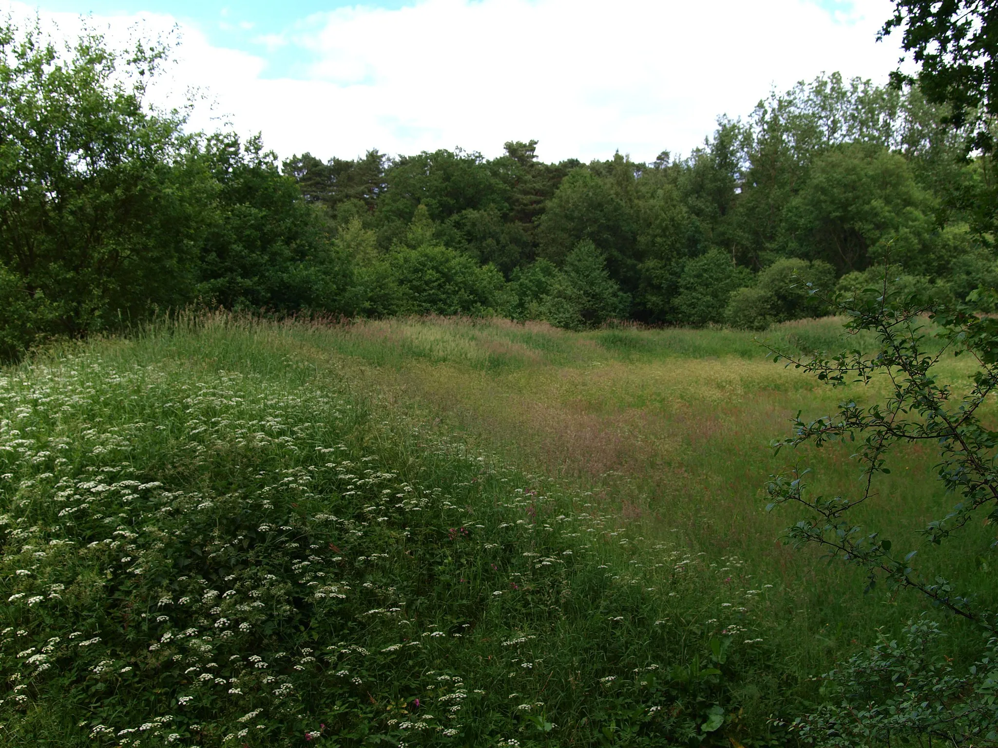 Photo showing: Burgwall Hollenstedt, or Karlsburg or Burg Hollenstedt. A reconstructed lowland castle of the Carolingian period 9th century A.D. Western part of the site. Left a part of the circular rampart, right inner courtyard.