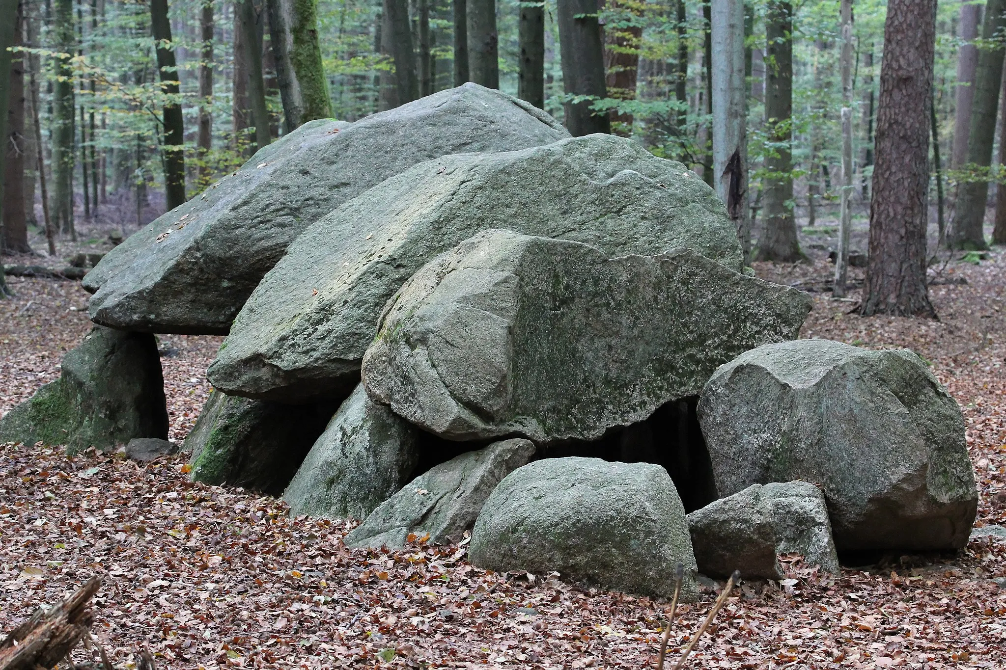 Photo showing: Großsteingrab Westerberg Lamstedt