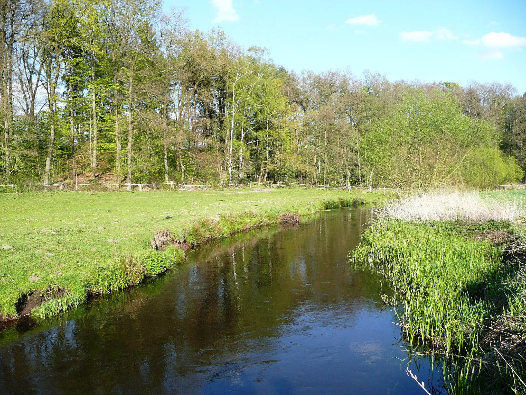 Photo showing: Böhme river near Elferdingen, Lüneburg Heath (Bomlitz, Lower Saxony, Germany)