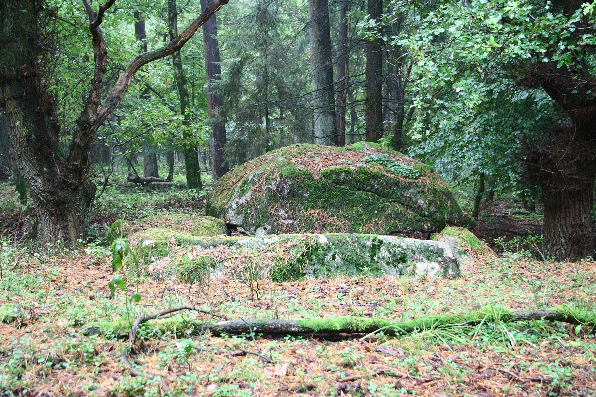 Photo showing: Megalithic tomb Heine 2