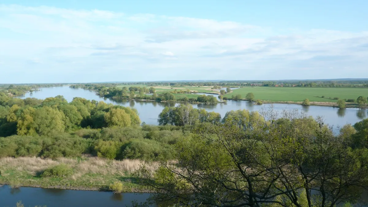 Photo showing: Blick auf die Elbe vom Elwkieker (Boizenburg, Vier)