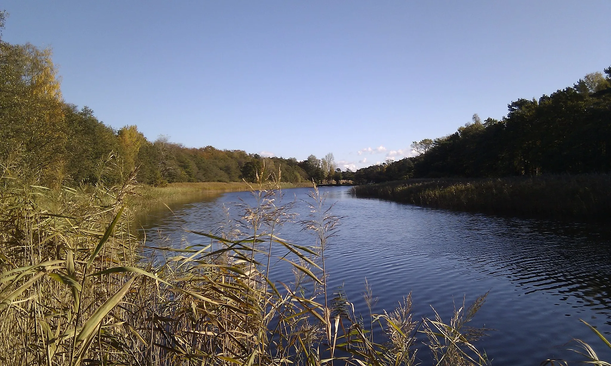 Bild von Meclemburgo-Pomerania Anteriore