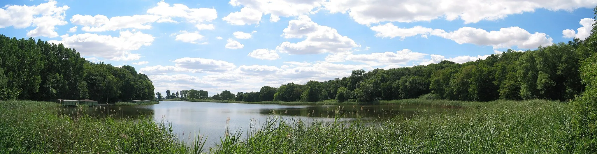 Photo showing: Der Schloßsee in Penkun (Uecker-Randow).