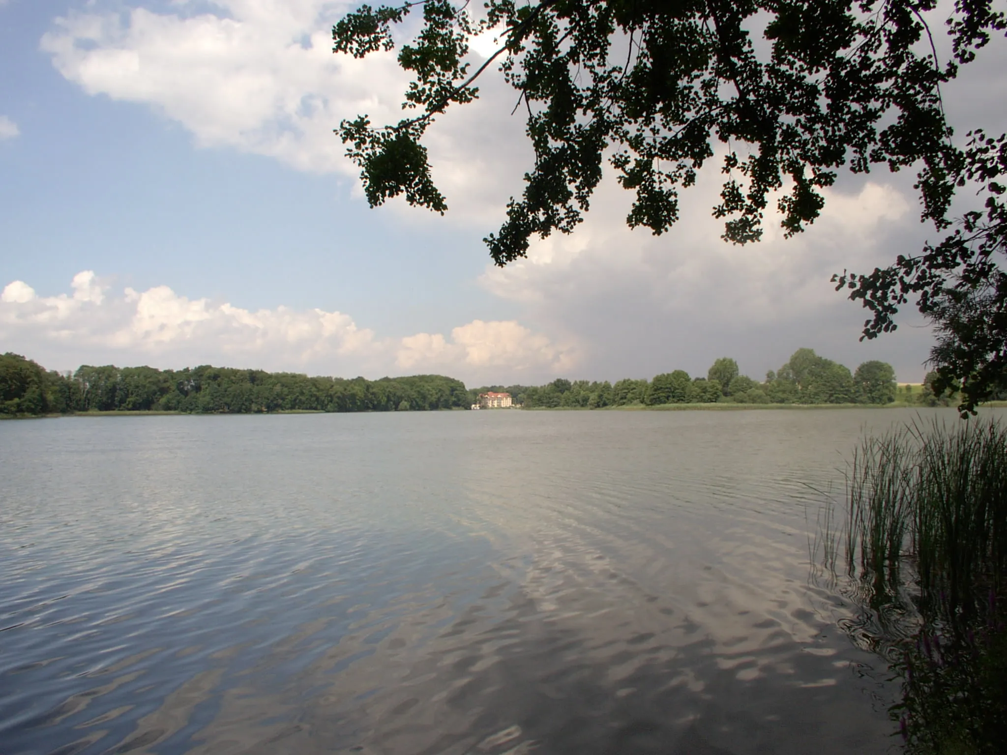 Photo showing: Der Große Stadtsee (Penzlin), gesehen vom Ufer der mittelalterlichen slawischen Burganlage bei Werder