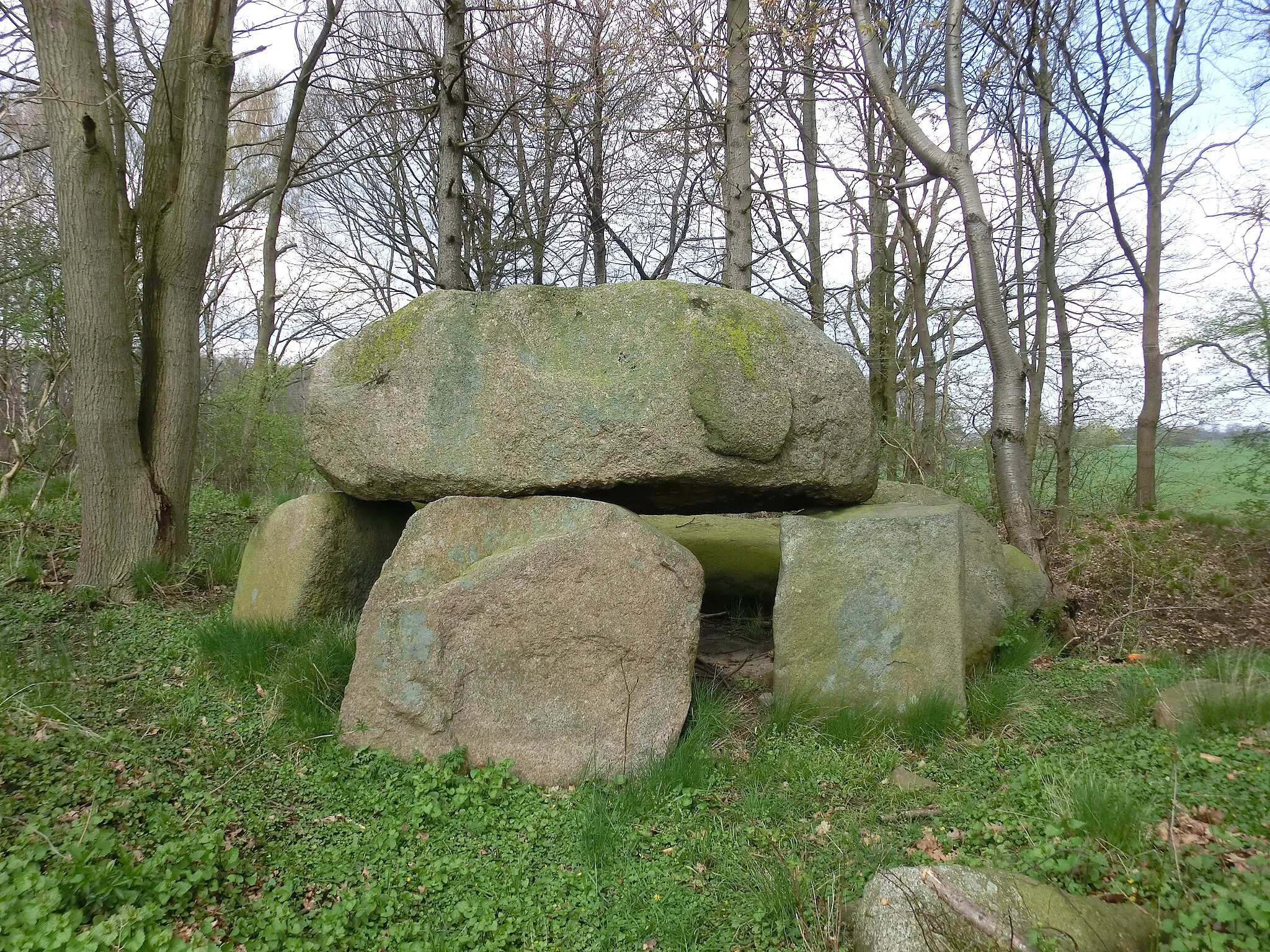 Photo showing: Dolmen Lonvitz 1, Island of Rügen, Mecklenburg-Vorpommern